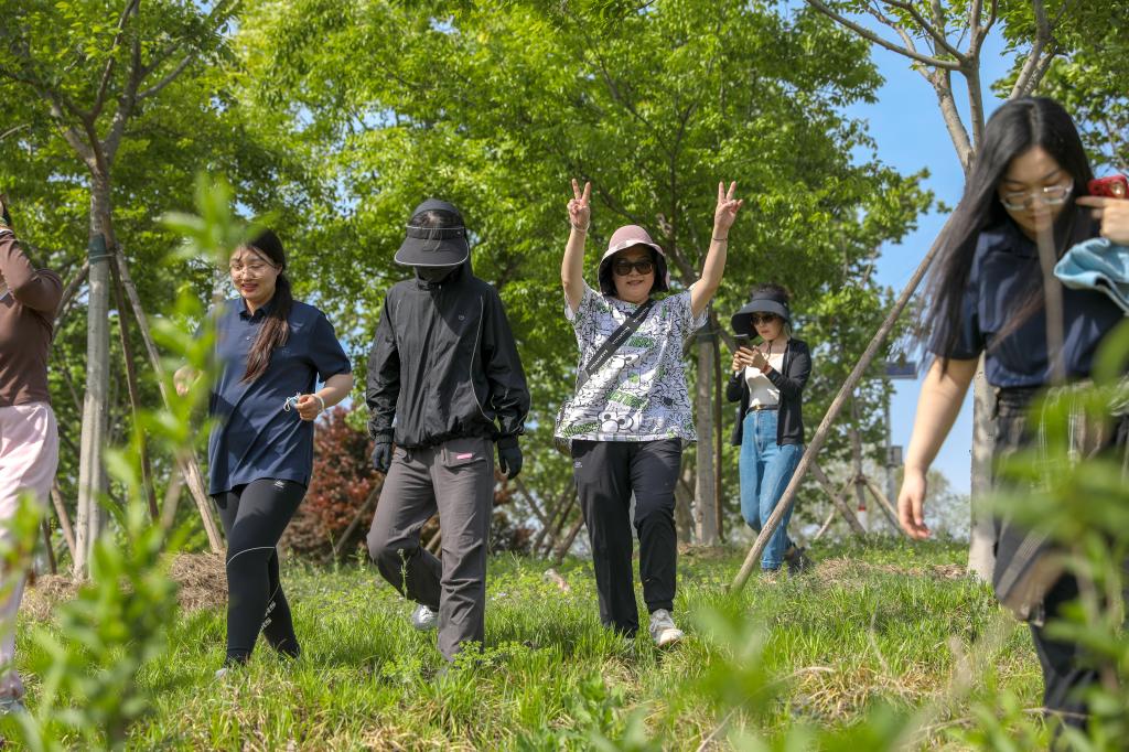 古天乐代言太阳集团城