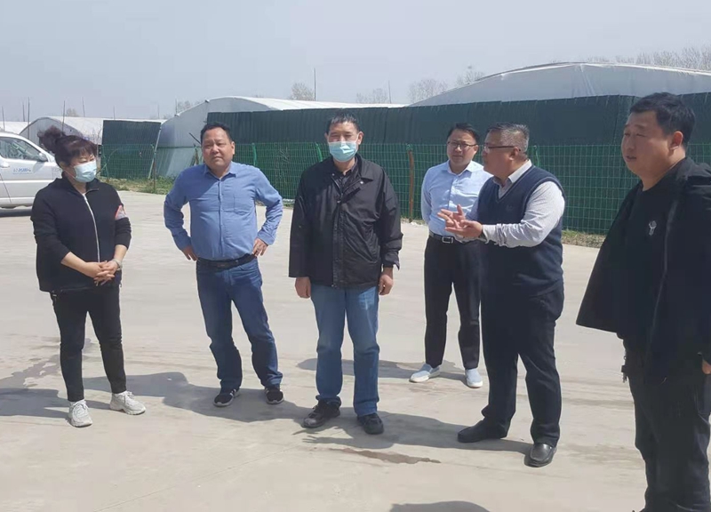 古天乐代言太阳集团城